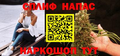 сатива Кунгур