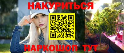 сатива Кунгур