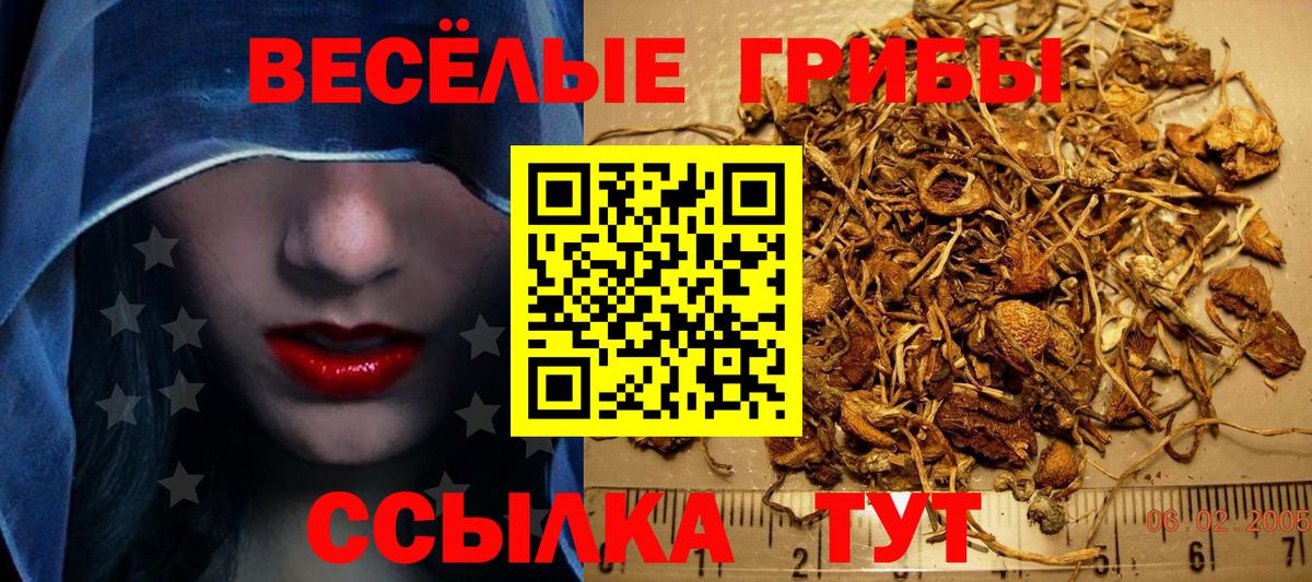 Галлюциногенные грибы GOLDEN TEACHER Зима