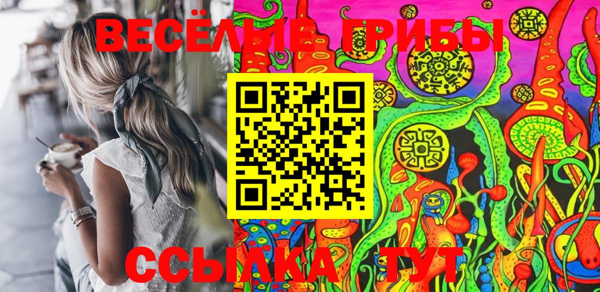 Зима  Псилоцибиновые грибы Magic Shrooms  наркота  Вход с VPN  Псилоцибиновые грибы Cubensis 